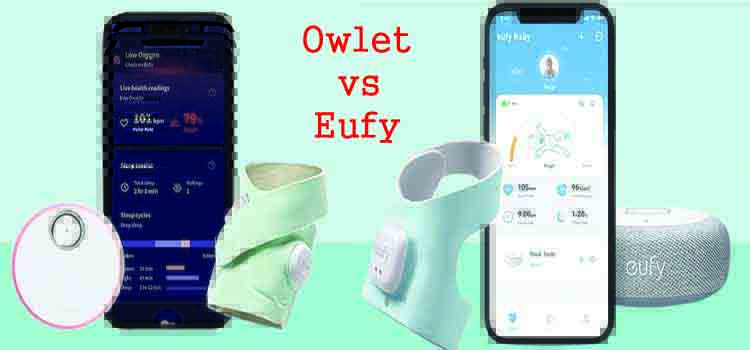 owlet vs eufy sock